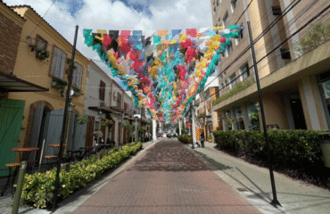 INSTAGRAMAVEIS